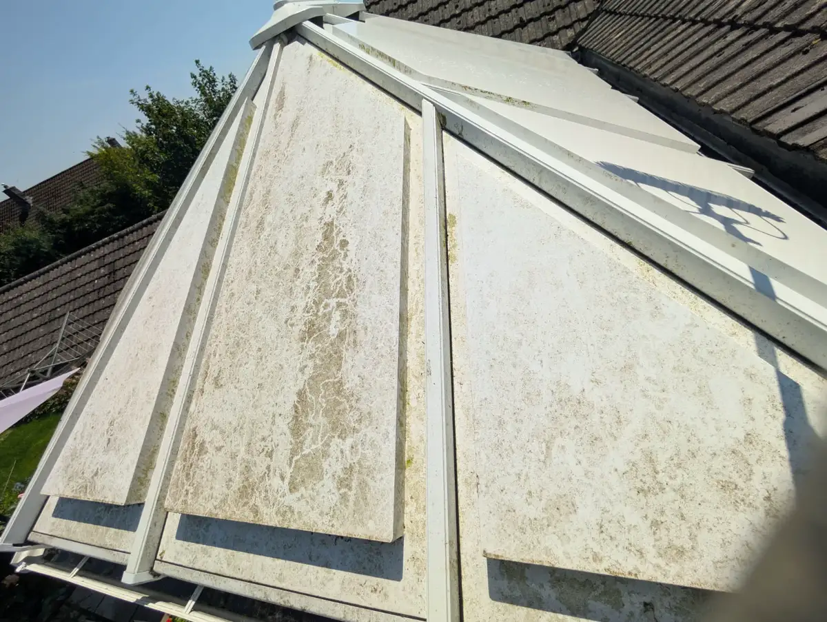Before — exterior cleaning