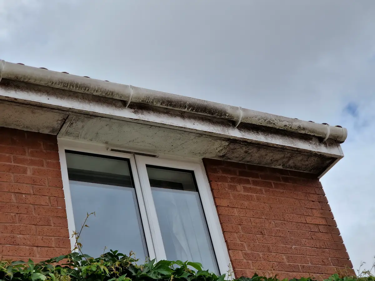 Before — exterior cleaning
