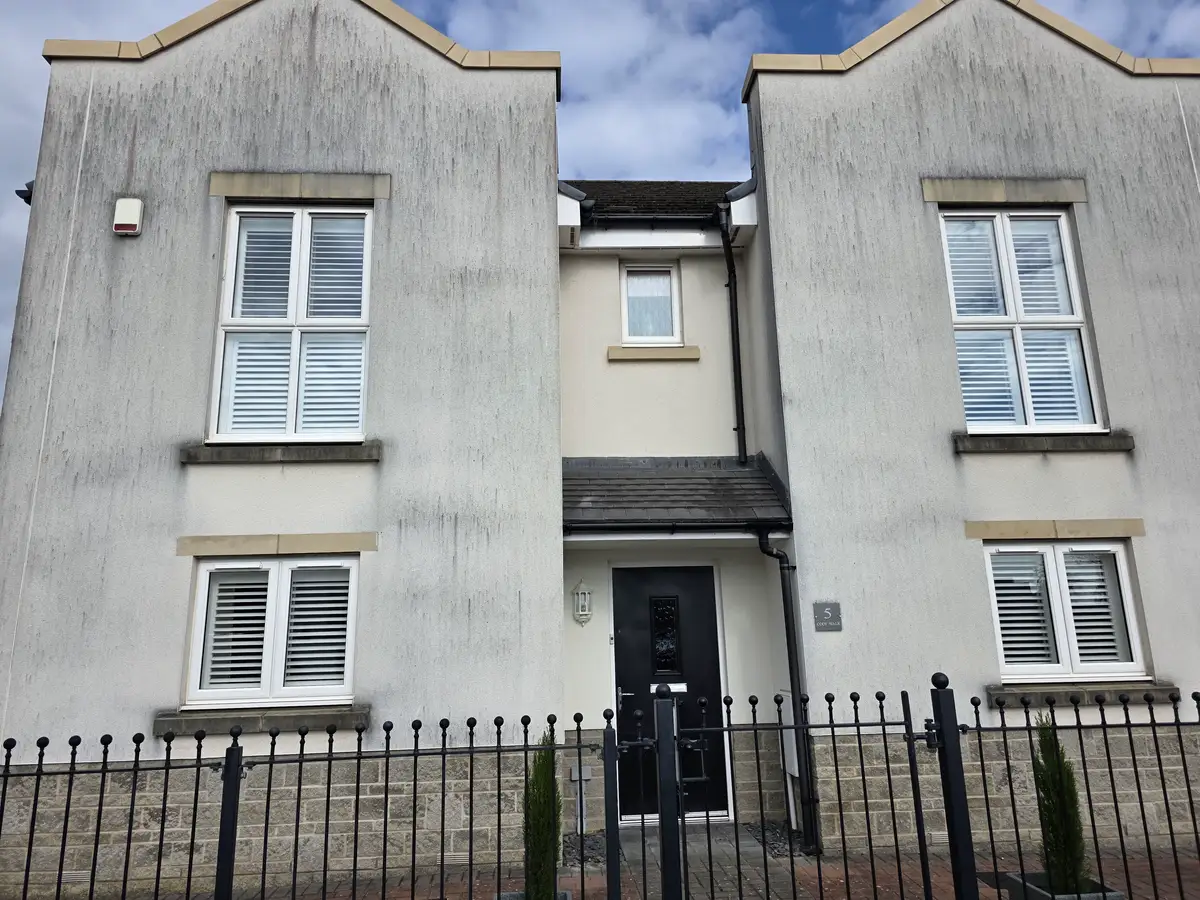 Before — exterior cleaning