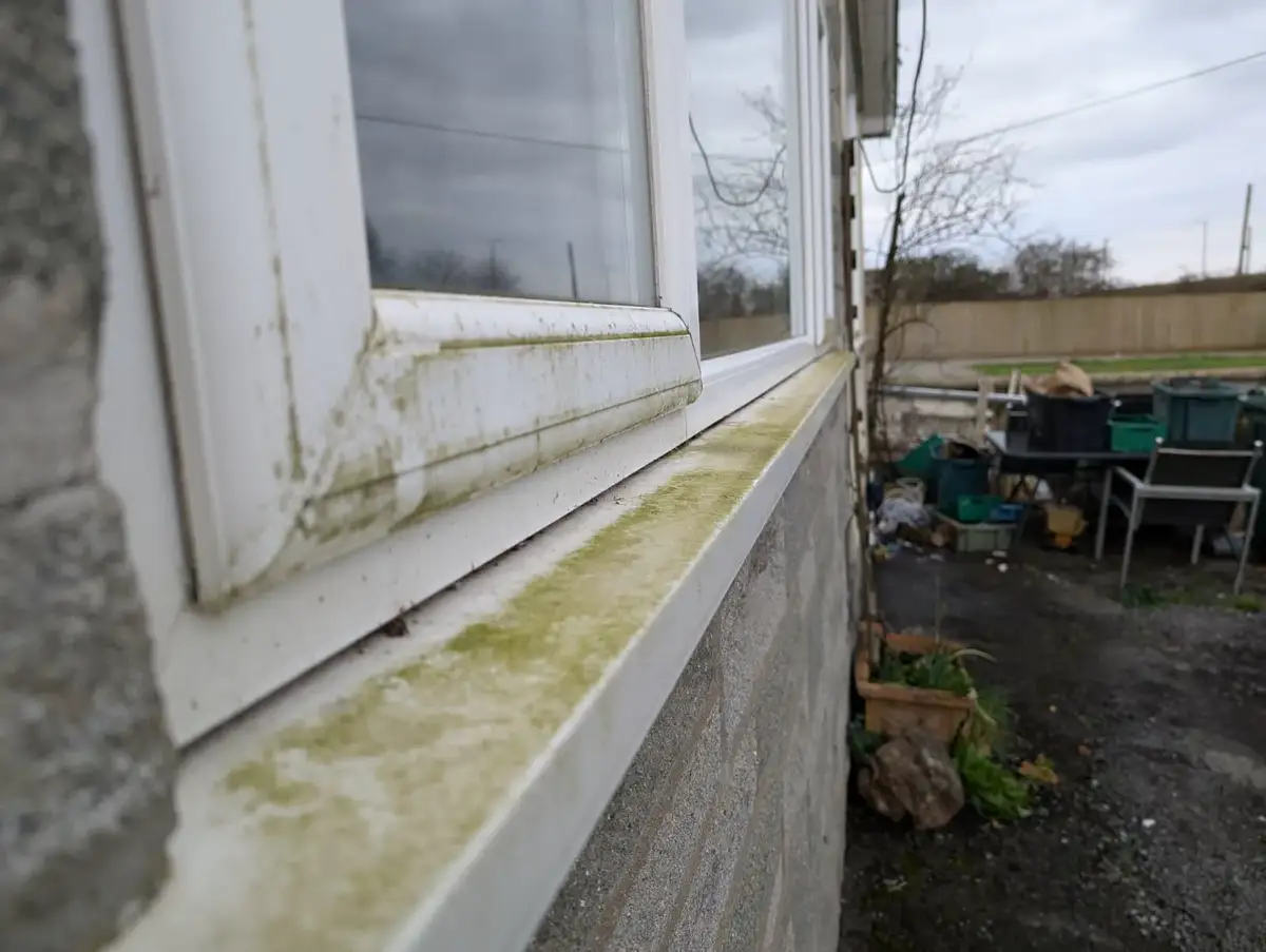Before — exterior cleaning
